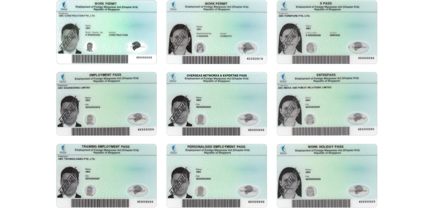 Singapore Pass types